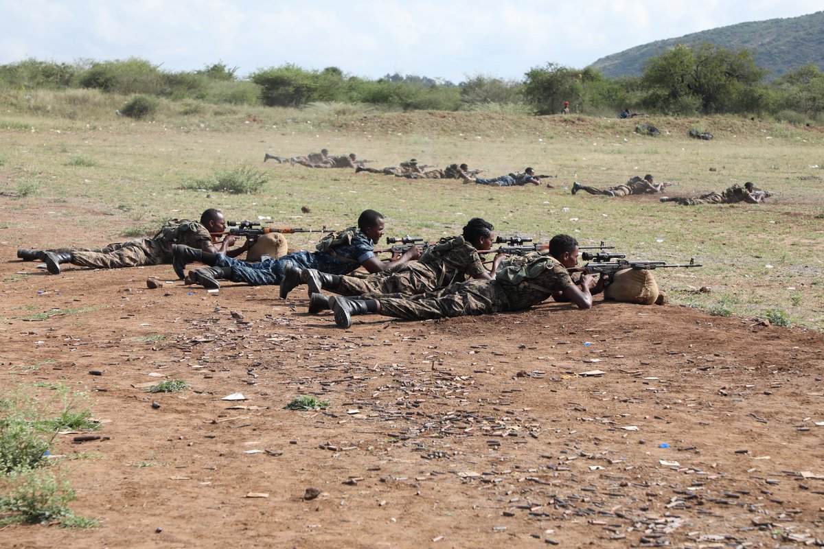TPLF TPLF