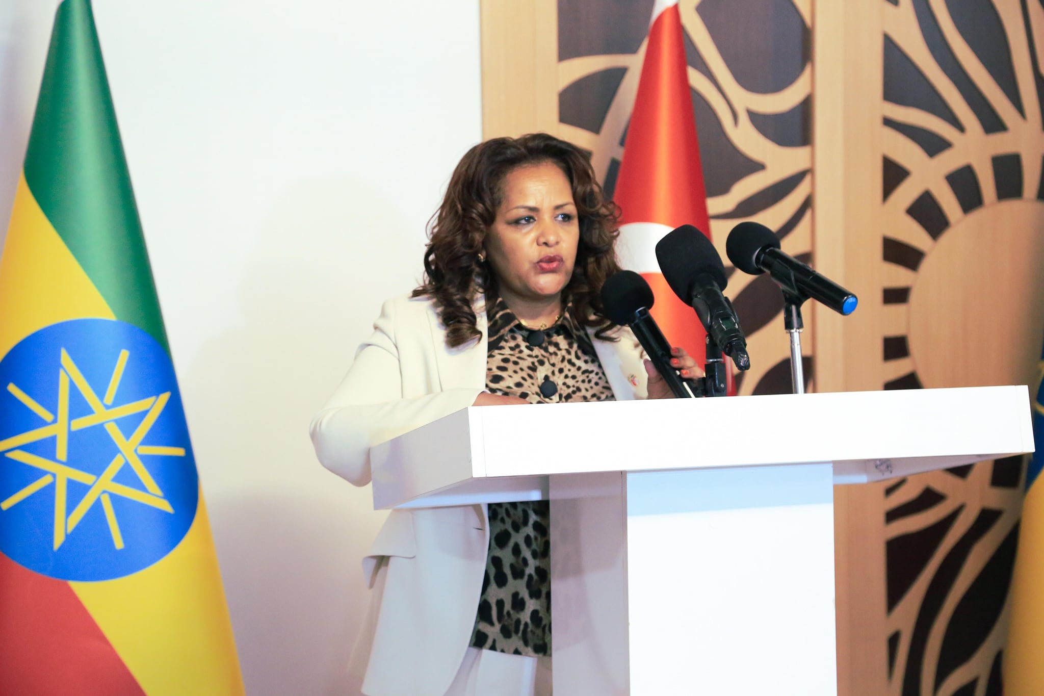 Demeke Mekonnen
