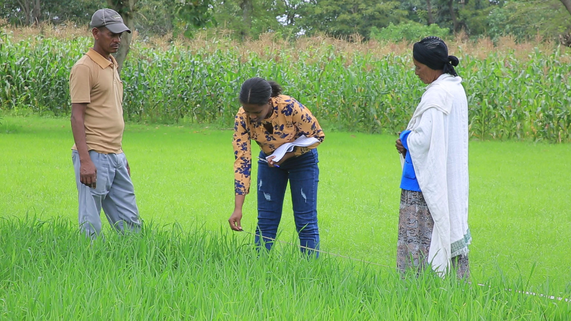 land ownership for farmers land ownership for farmers