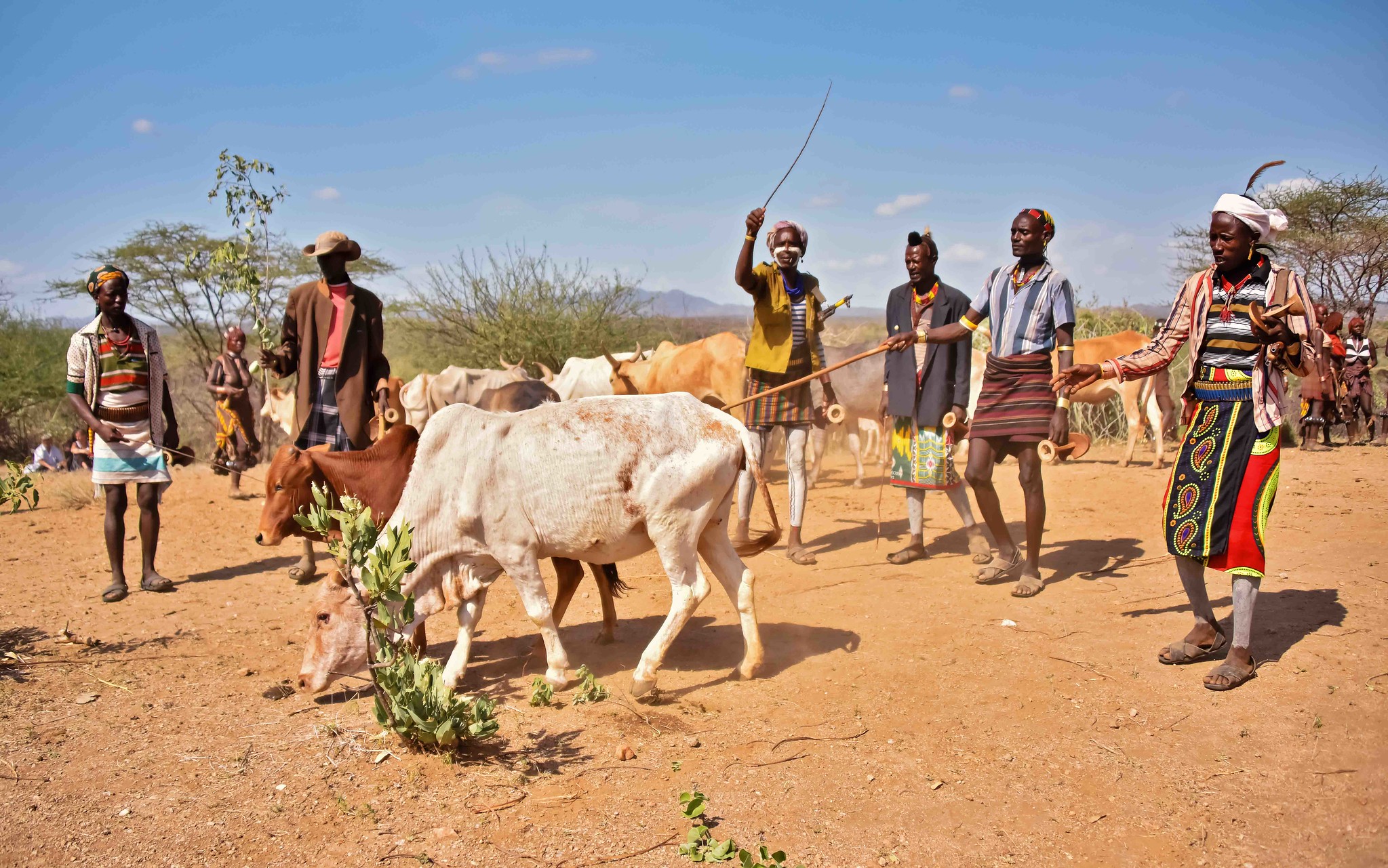 Hamar of Ethiopia Hamar of Ethiopia