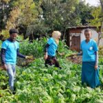community development