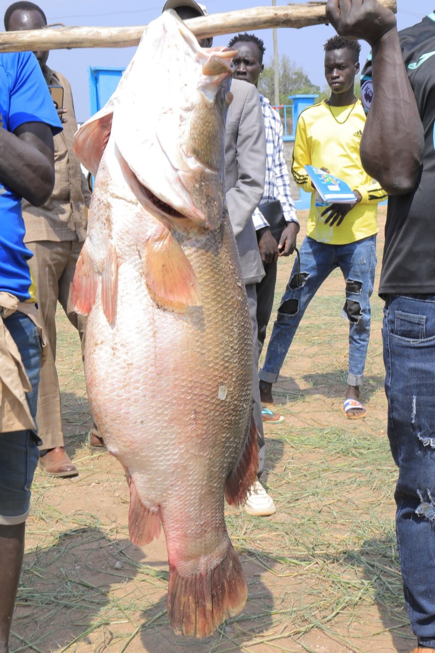Gambela fishery project Gambela fishery project