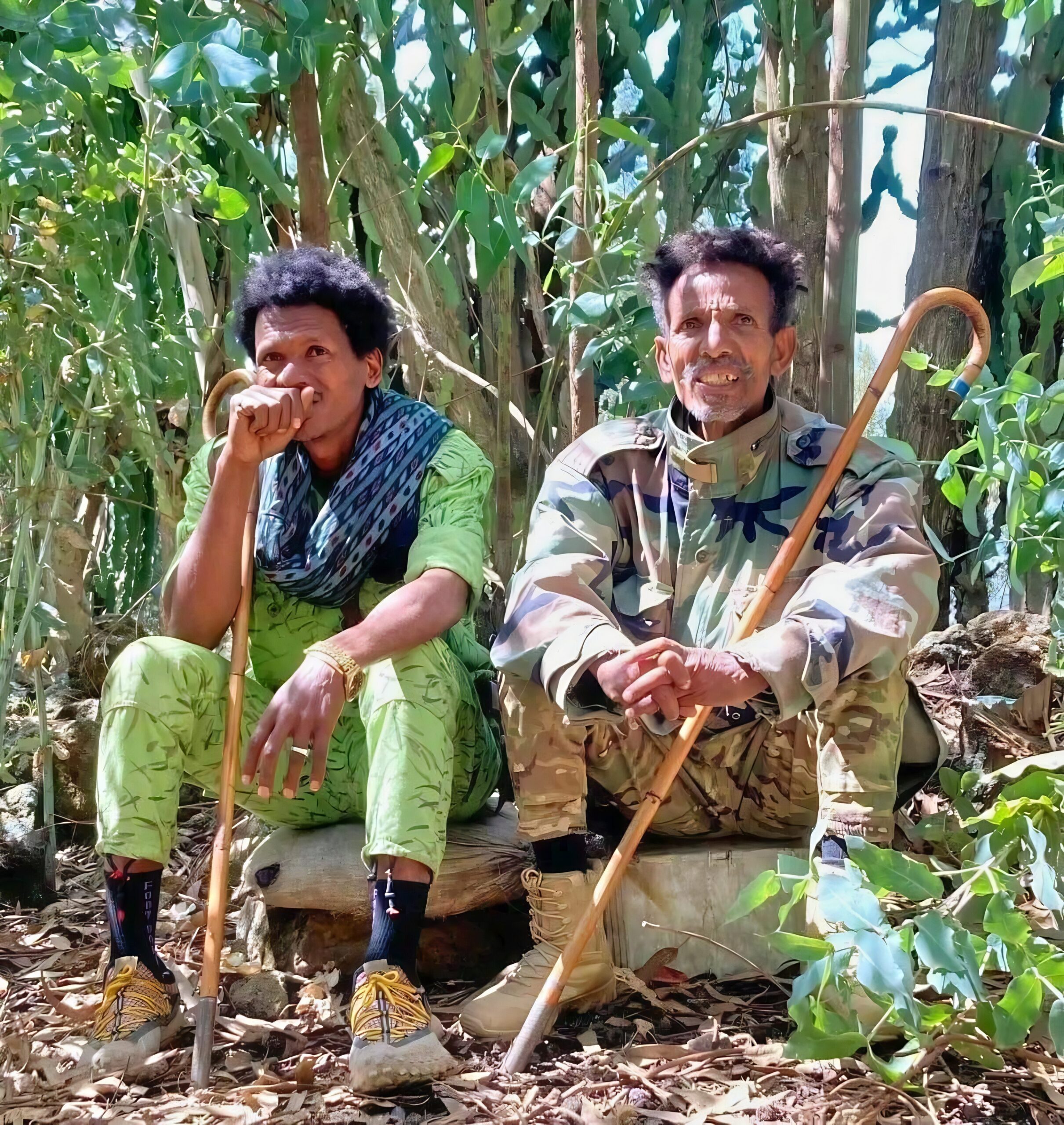 Amhara Fano Amhara Fano