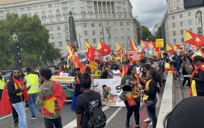Troop Withdrawal from Tigray: A Non-Negotiable Step Toward Lasting Peace
