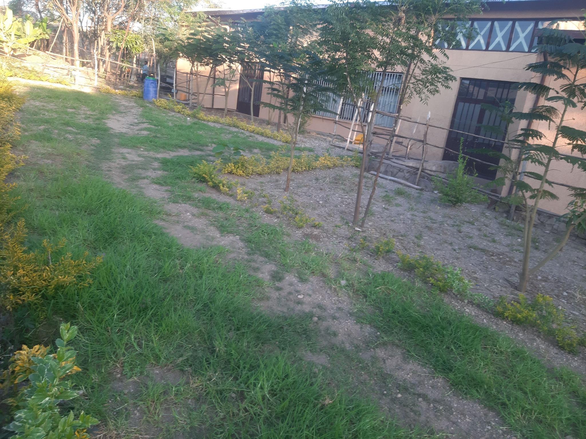 Producing fruits and vegetables