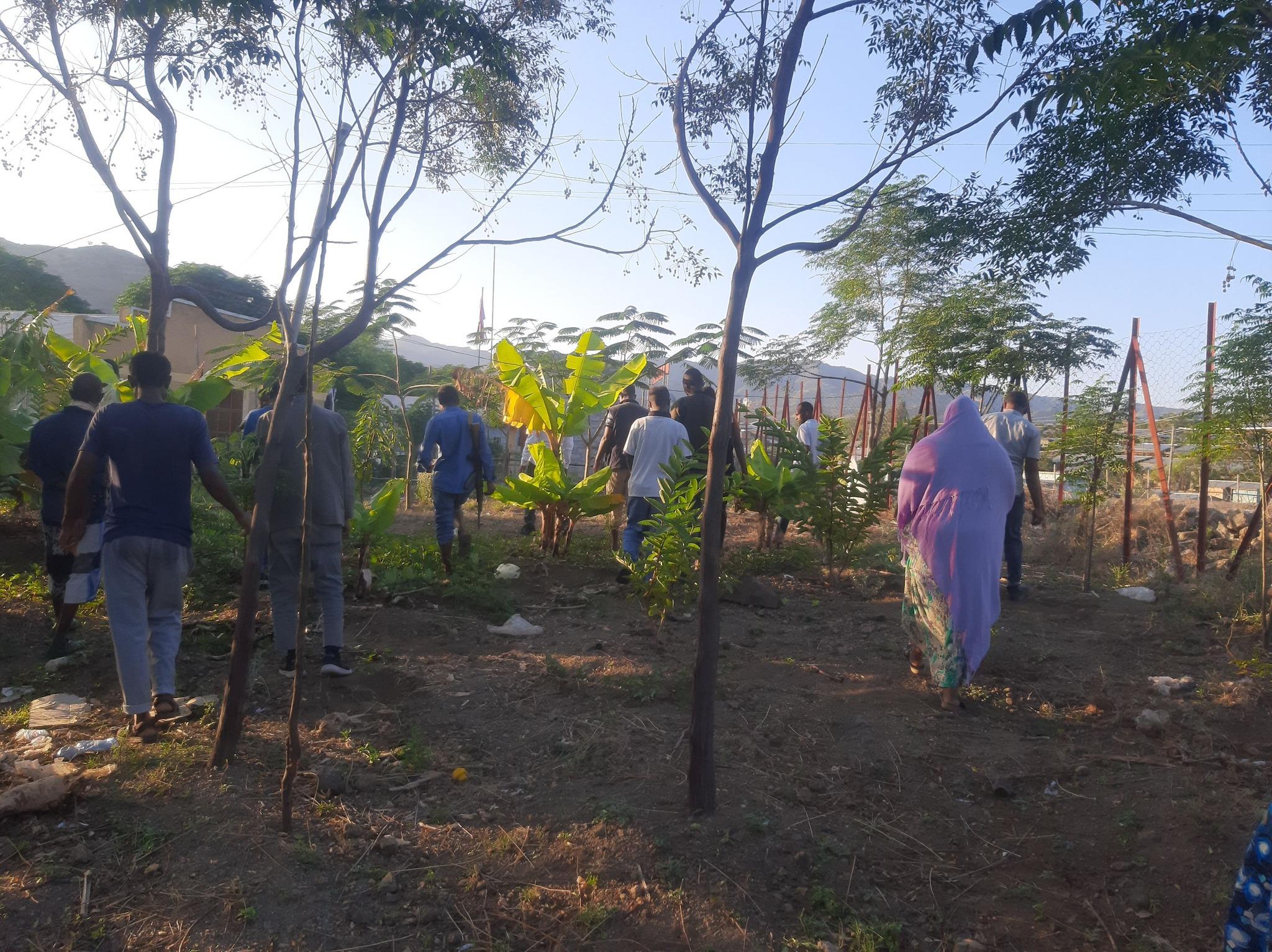 Producing fruits and vegetables