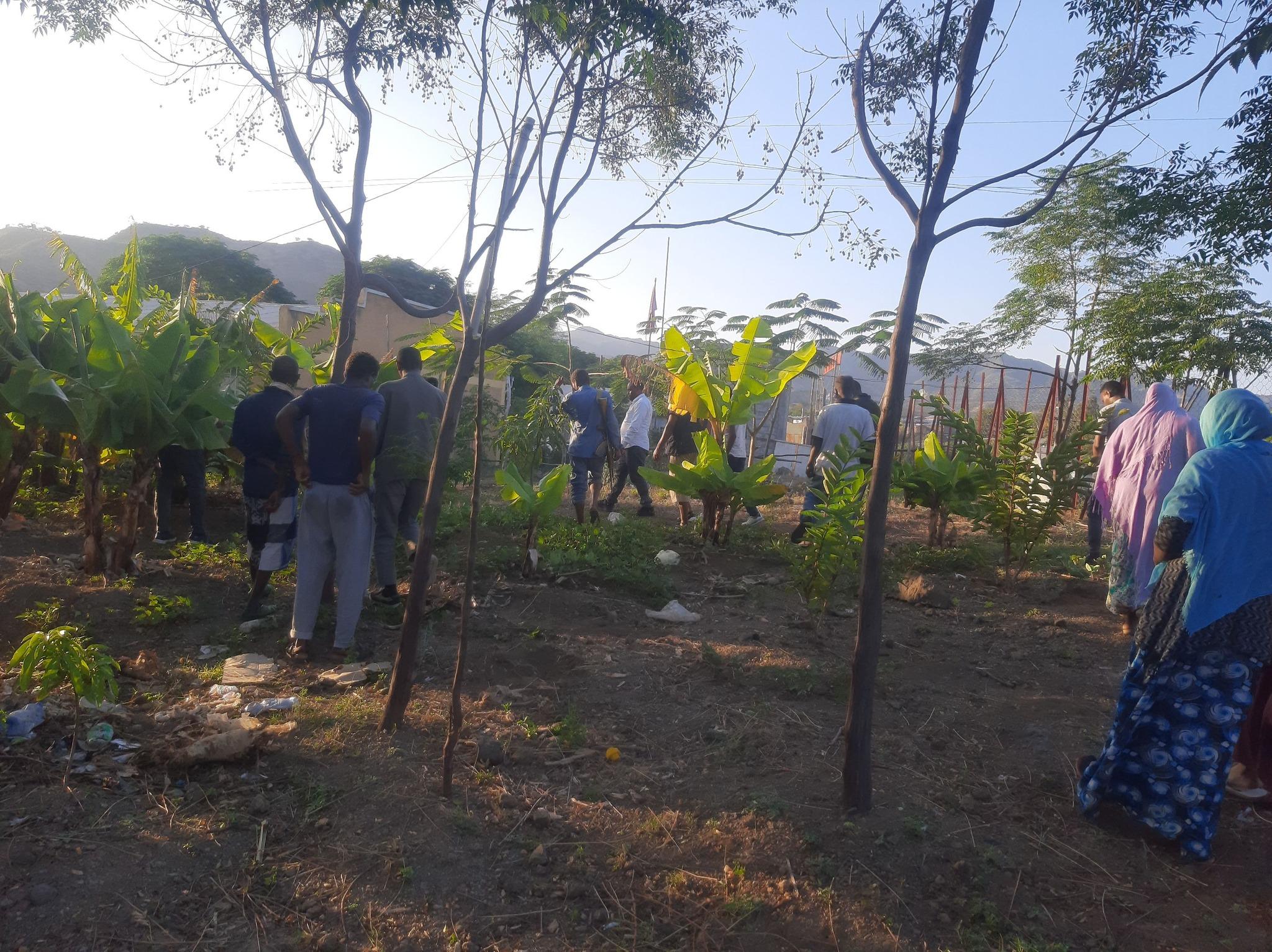 Producing fruits and vegetables