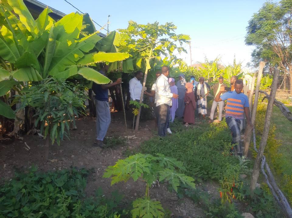 Producing fruits and vegetables