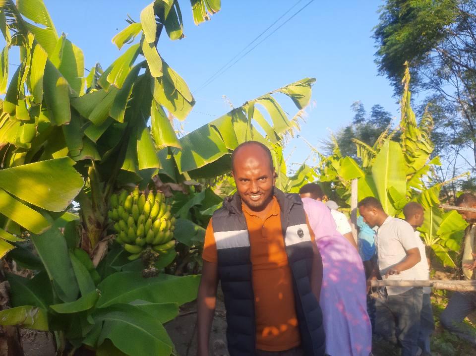 Producing fruits and vegetables