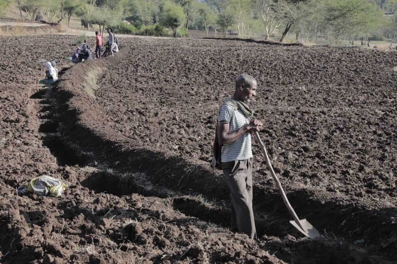 Habru Woreda integrated water development