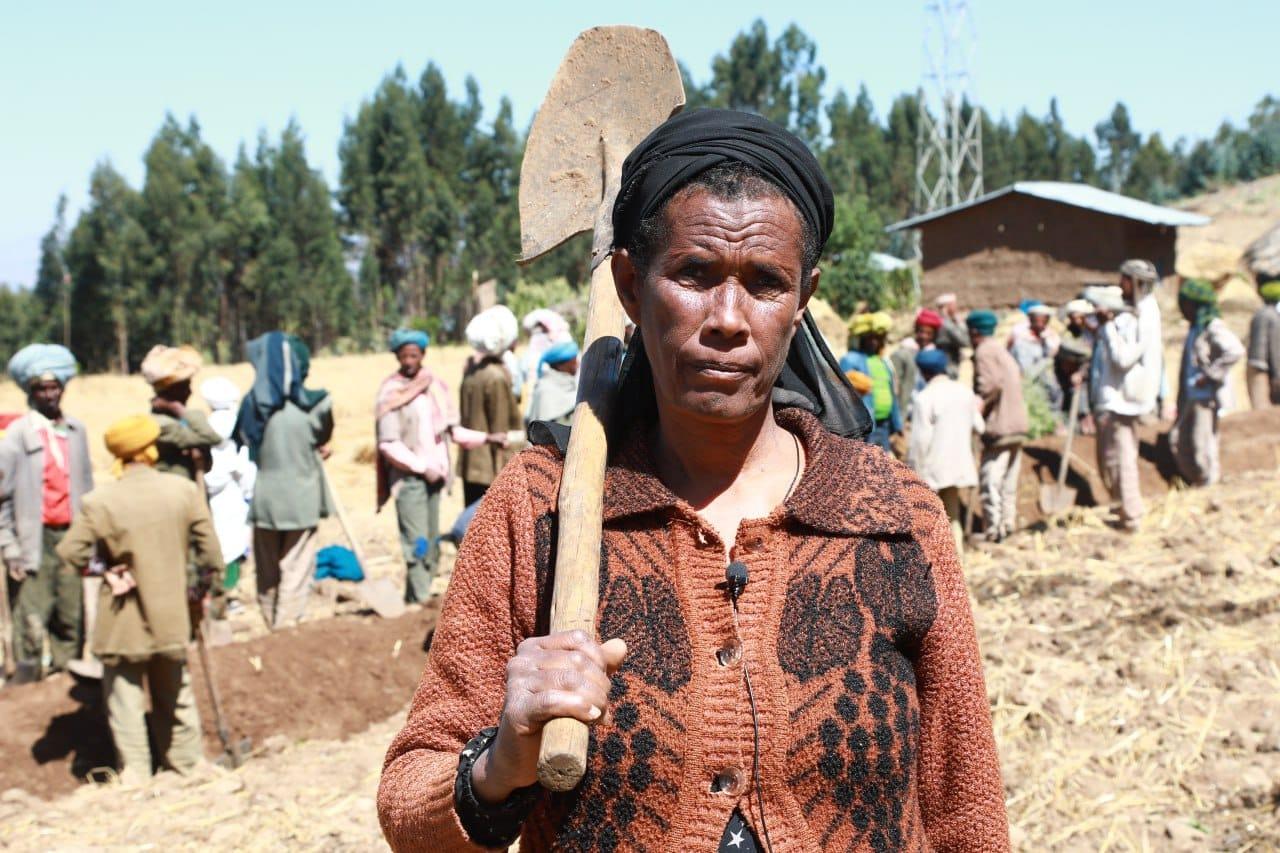 Natural resources work has started in South Gondar zone