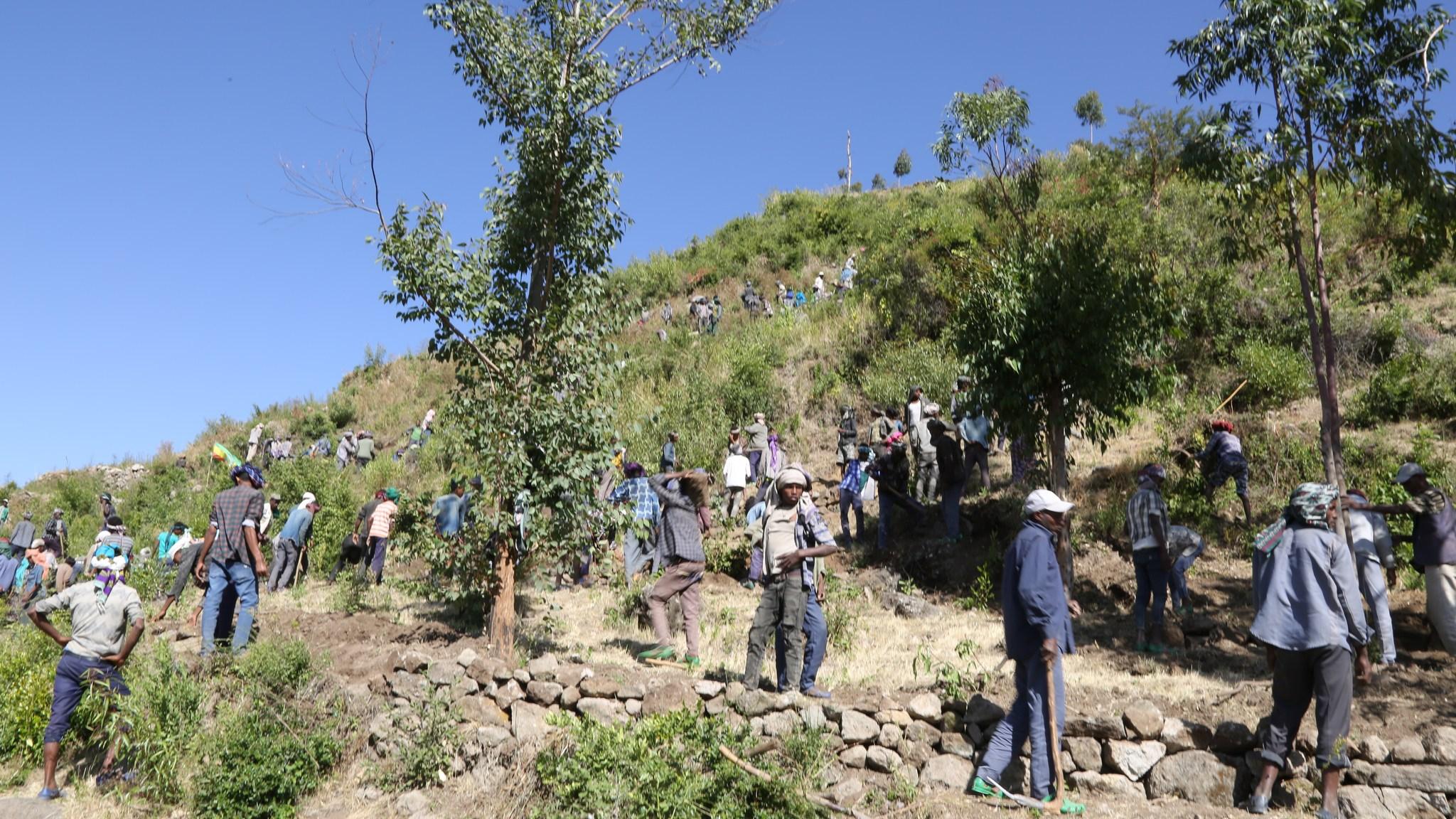 development work In North Shoa