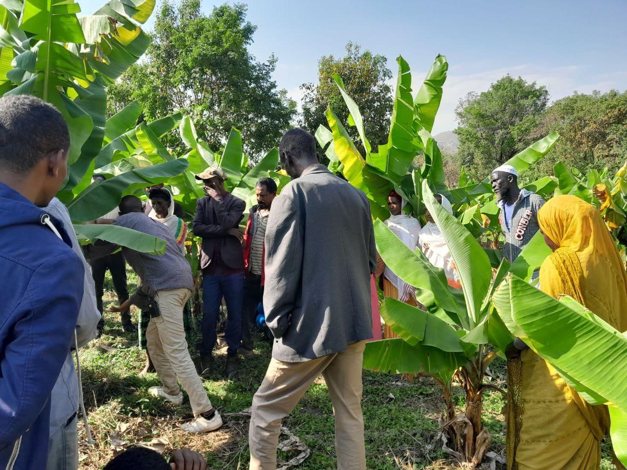 Benishangul Gumuz region